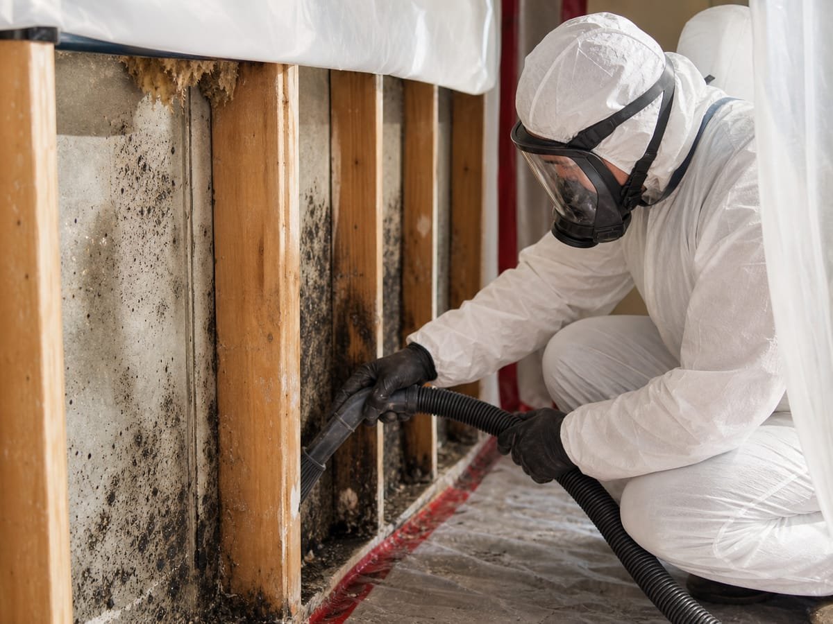Remediation worker in protective suit removing mold from wall framing